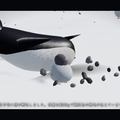 ペンギンの一生